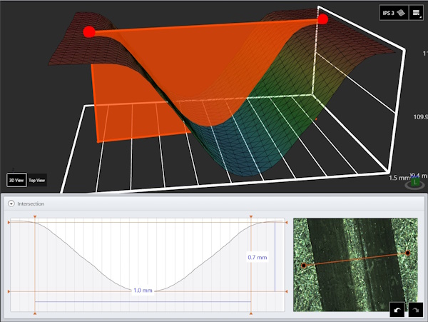 Darstellung eines 3D-Modells in Mikroskopie-Software